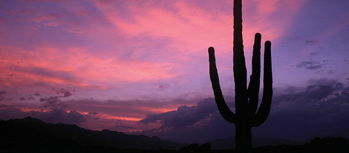 Canyon Ranch Tucson Mount Lemmont Exterior foto